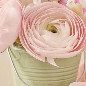 Meet your Posher, Janis